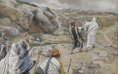 22nd Sunday in Ordinary Time